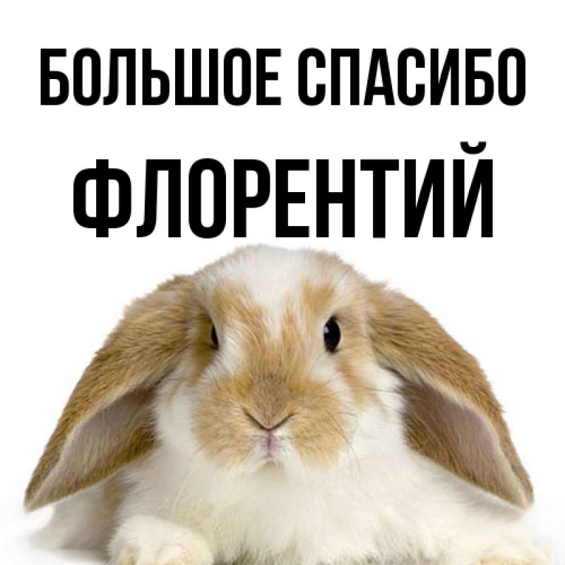 Открытка с именем, Флорентий, Большое спасибо