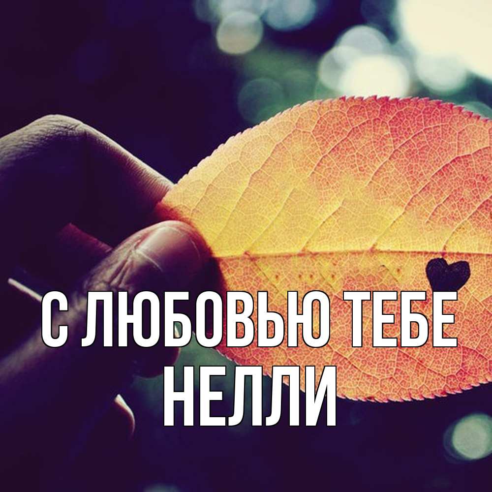 Открытка на каждый день с именем, Нелли С любовью тебе держу лист Прикольная открытка с пожеланием онлайн скачать бесплатно 