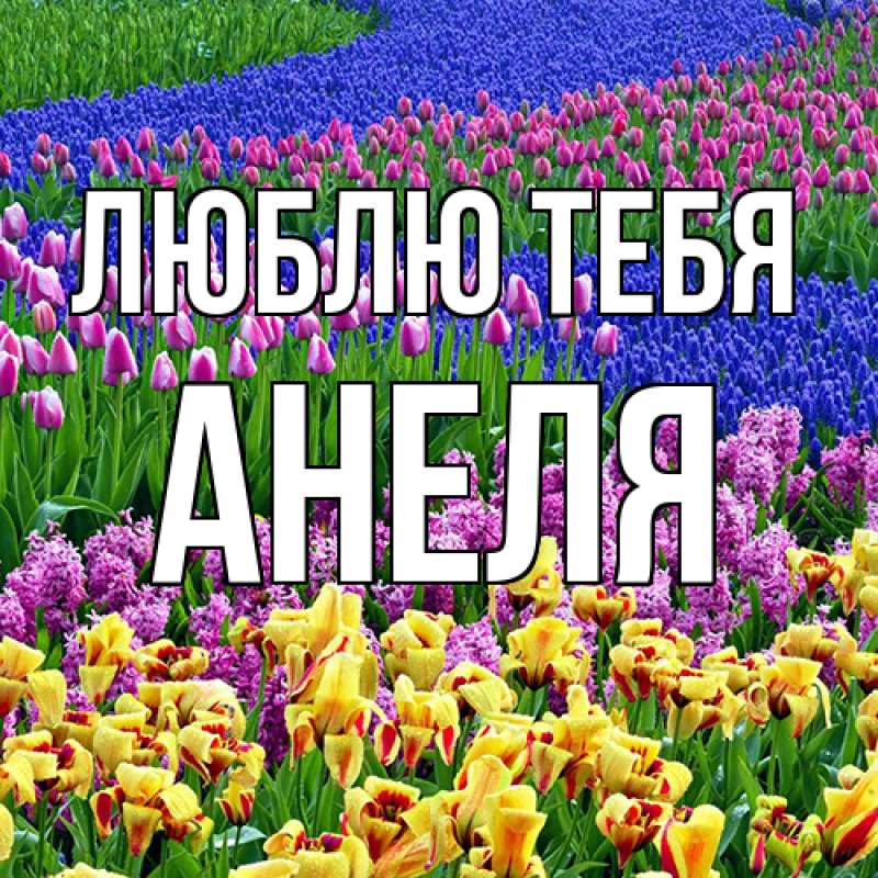 Картинка Люблю тебя, Анеля