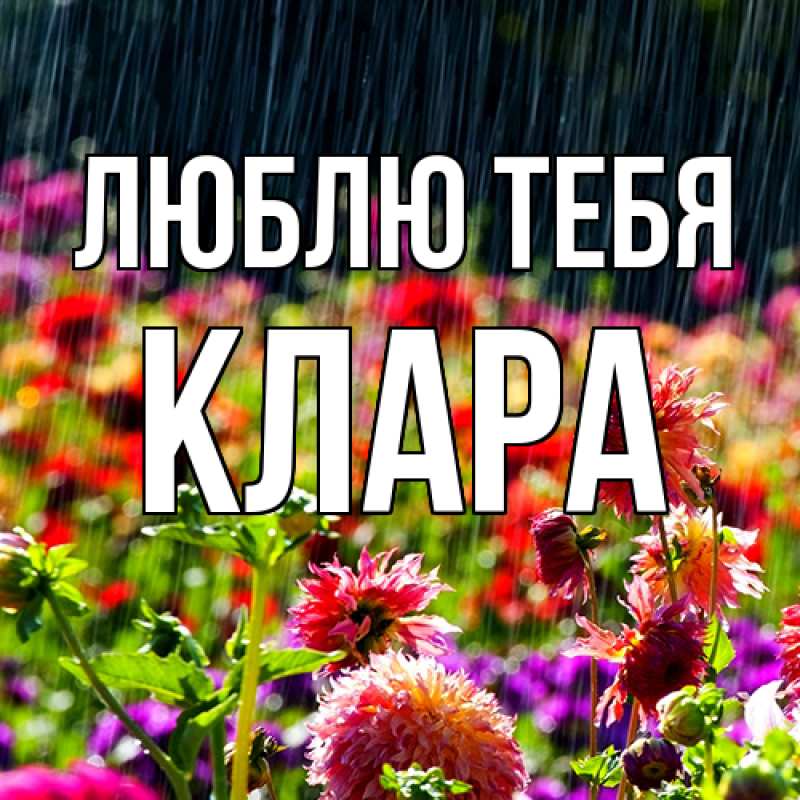 Картинка Люблю тебя, Клара