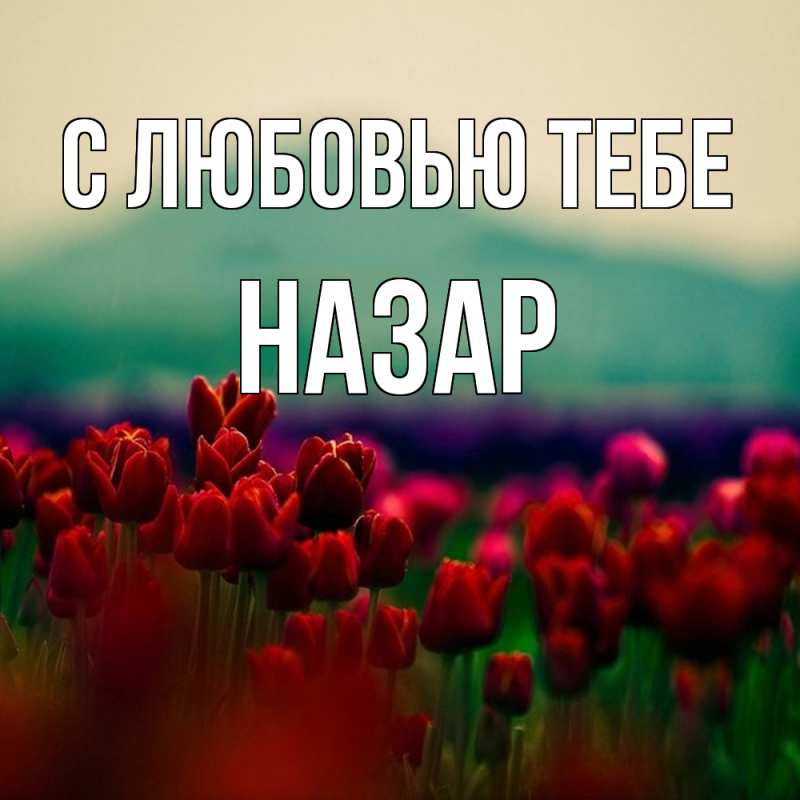 Картинка С любовью тебе, Назар