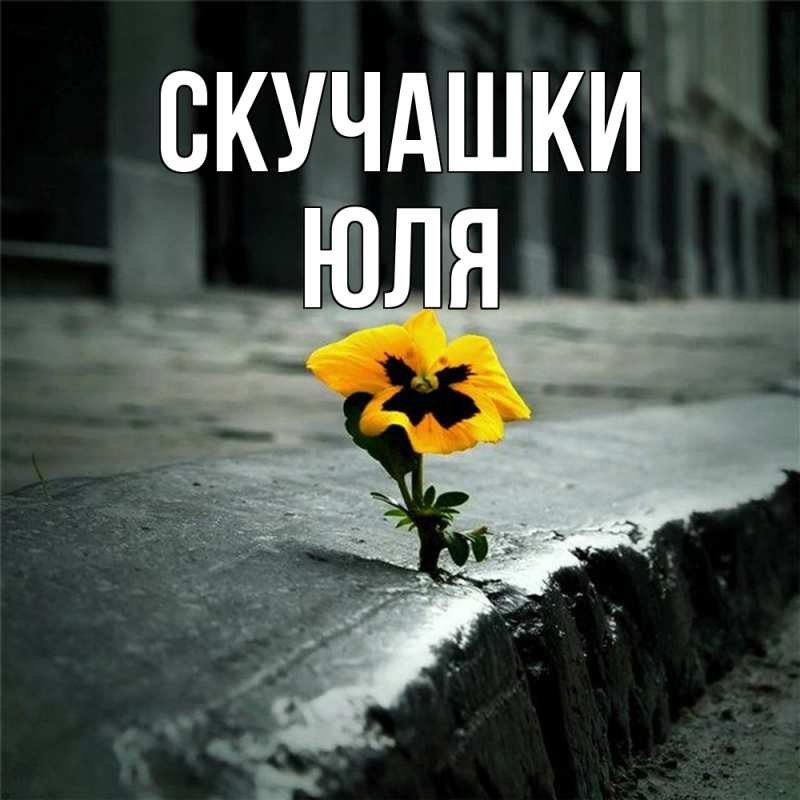 Картинка Скучашки, Юля