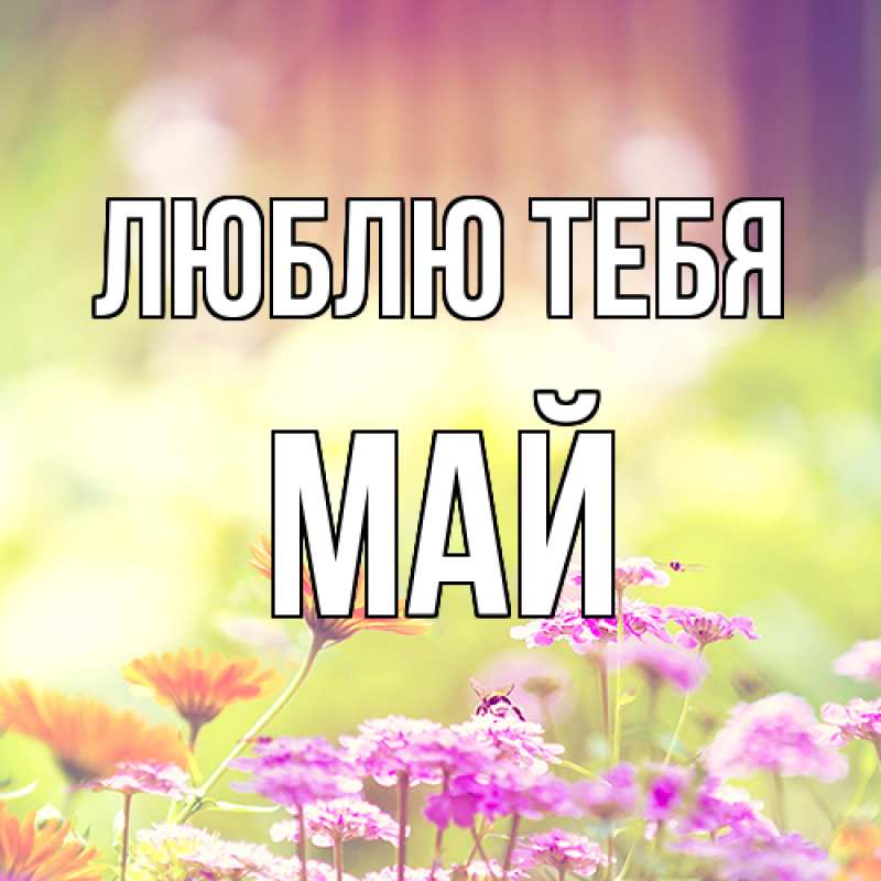 Картинка Люблю тебя, Май
