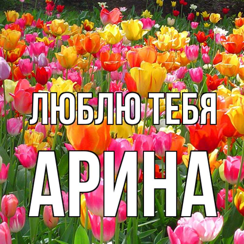 Картинка Люблю тебя, Арина