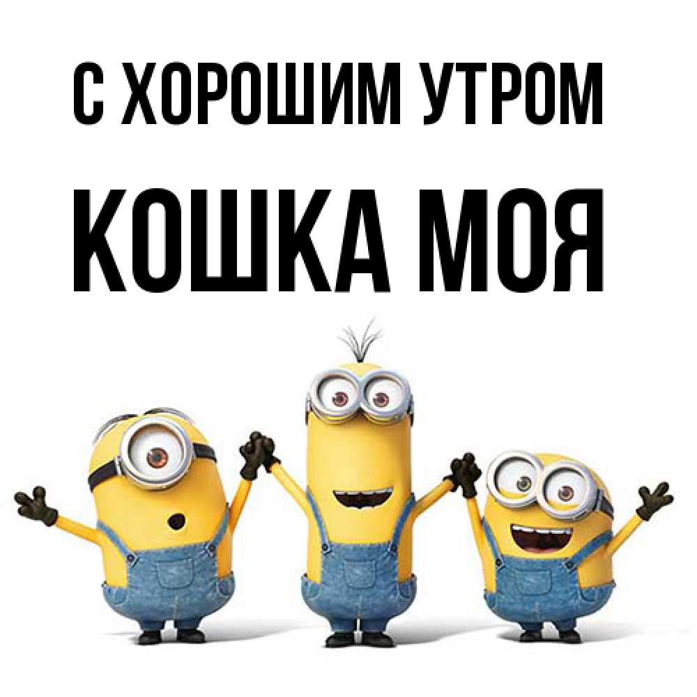 Открытка на каждый день с именем, Кошка-моя С хорошим утром бодренького утра Прикольная открытка с пожеланием онлайн скачать бесплатно 