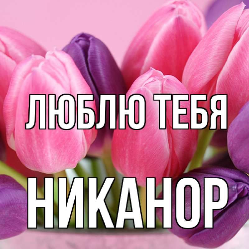 Картинка Люблю тебя, Никанор