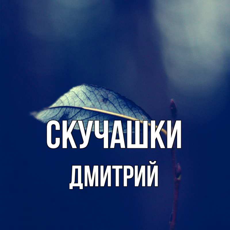 Открытка с именем, Дмитрий, Скучашки