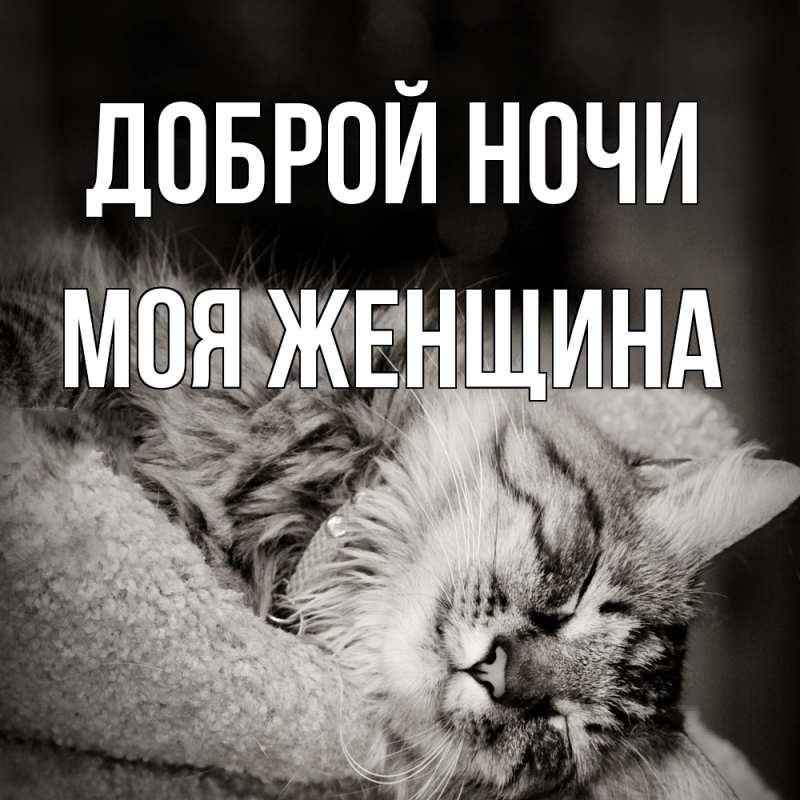 Картинка Доброй ночи, Моя женщина