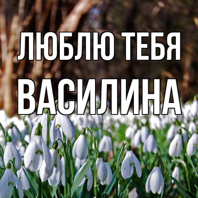 Картинка Люблю тебя, Василина