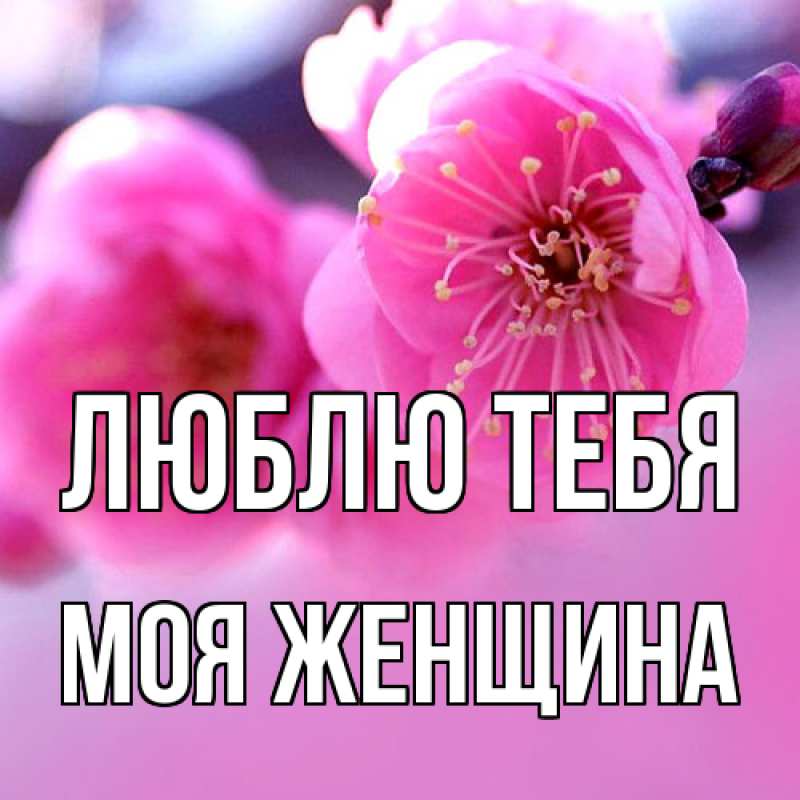 Картинка Люблю тебя, Моя женщина