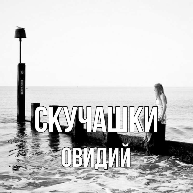 Картинка Скучашки, Овидий