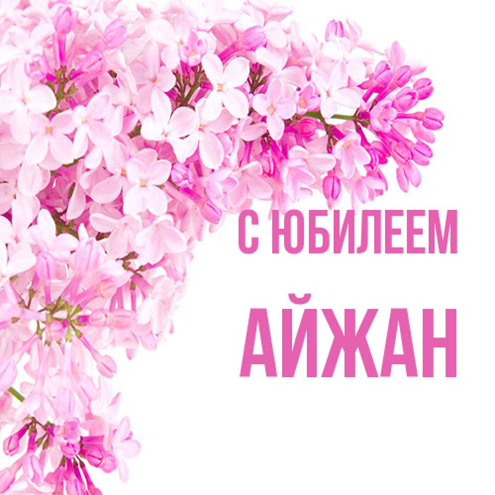Открытка на каждый день с именем, Айжан C юбилеем Сирень на белом фоне Прикольная открытка с пожеланием онлайн скачать бесплатно 