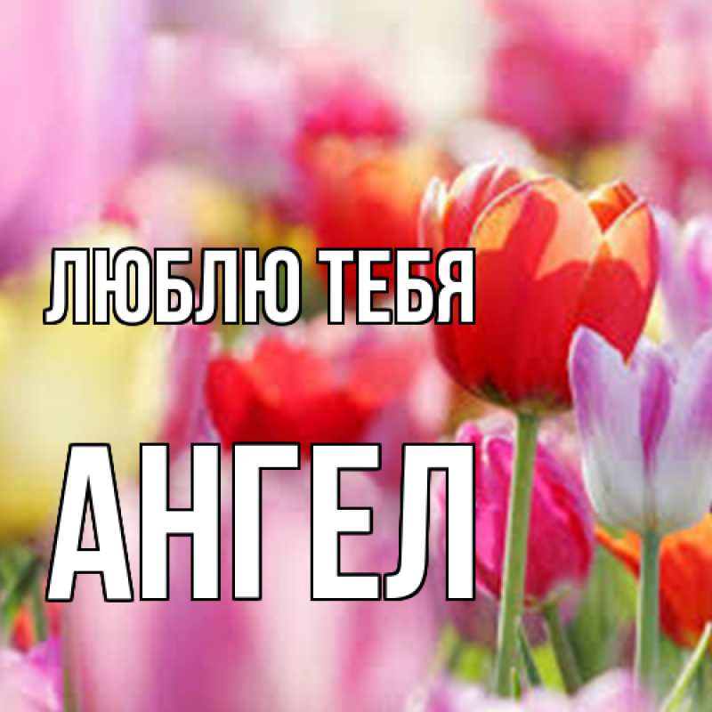 Картинка Люблю тебя, Ангел