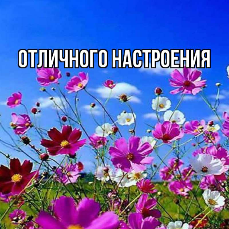 Картинка Люблю тебя, Габриэлла