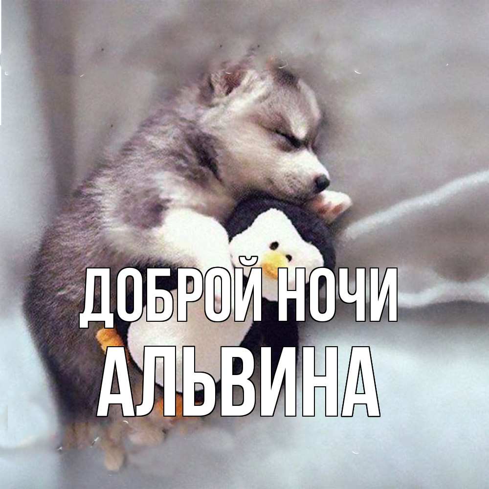 Открытка на каждый день с именем, Альвина Доброй ночи обнимашки щенка и пингвина Прикольная открытка с пожеланием онлайн скачать бесплатно 