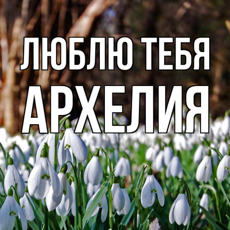 Картинка Люблю тебя, Архелия