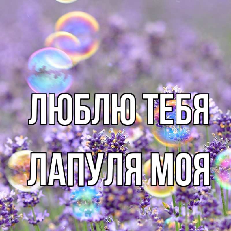 Картинка Люблю тебя, Лапуля моя