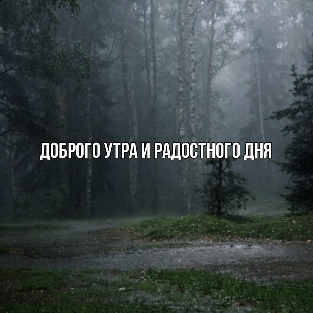 Открытка на каждый день с именем, Ия Не грусти все будет хорошо осень Прикольная открытка с пожеланием онлайн скачать бесплатно 