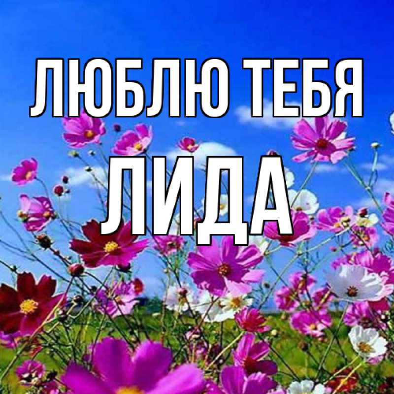 Картинка Люблю тебя, Лида