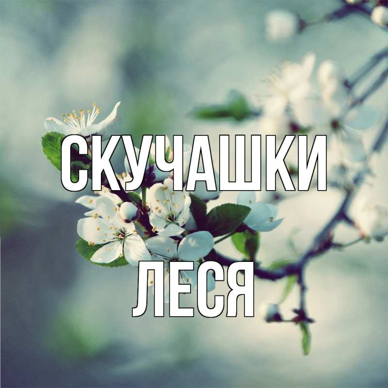 Картинка Скучашки, Леся