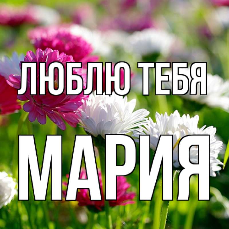 Картинка Люблю тебя, Мария