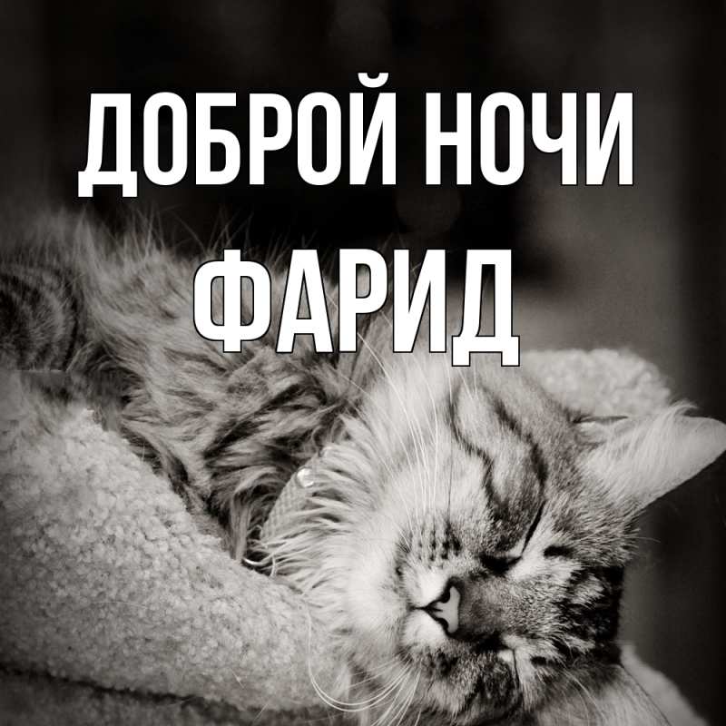 Картинка Доброй ночи, Фарид