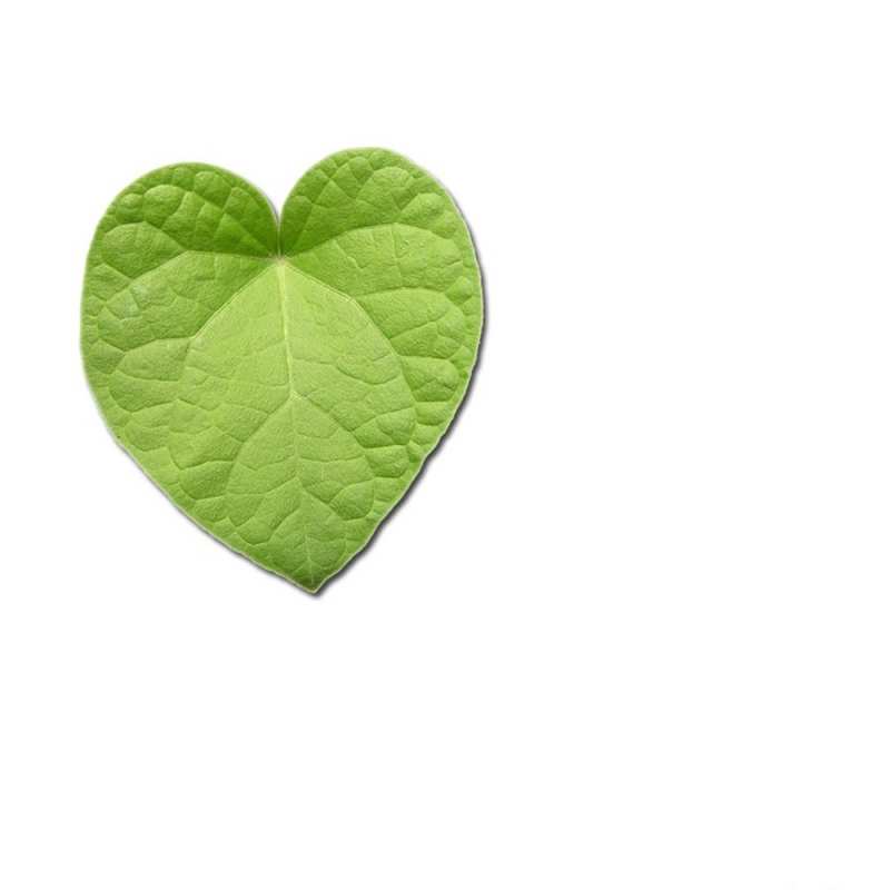 Картинка С любовью тебе, Азарий