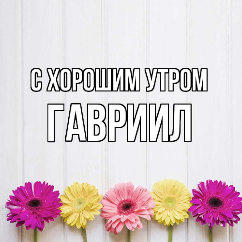 Картинка С хорошим утром, Гавриил