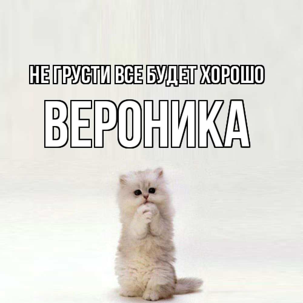 Открытка на каждый день с именем, Вероника Не грусти все будет хорошо грустный кот Прикольная открытка с пожеланием онлайн скачать бесплатно 