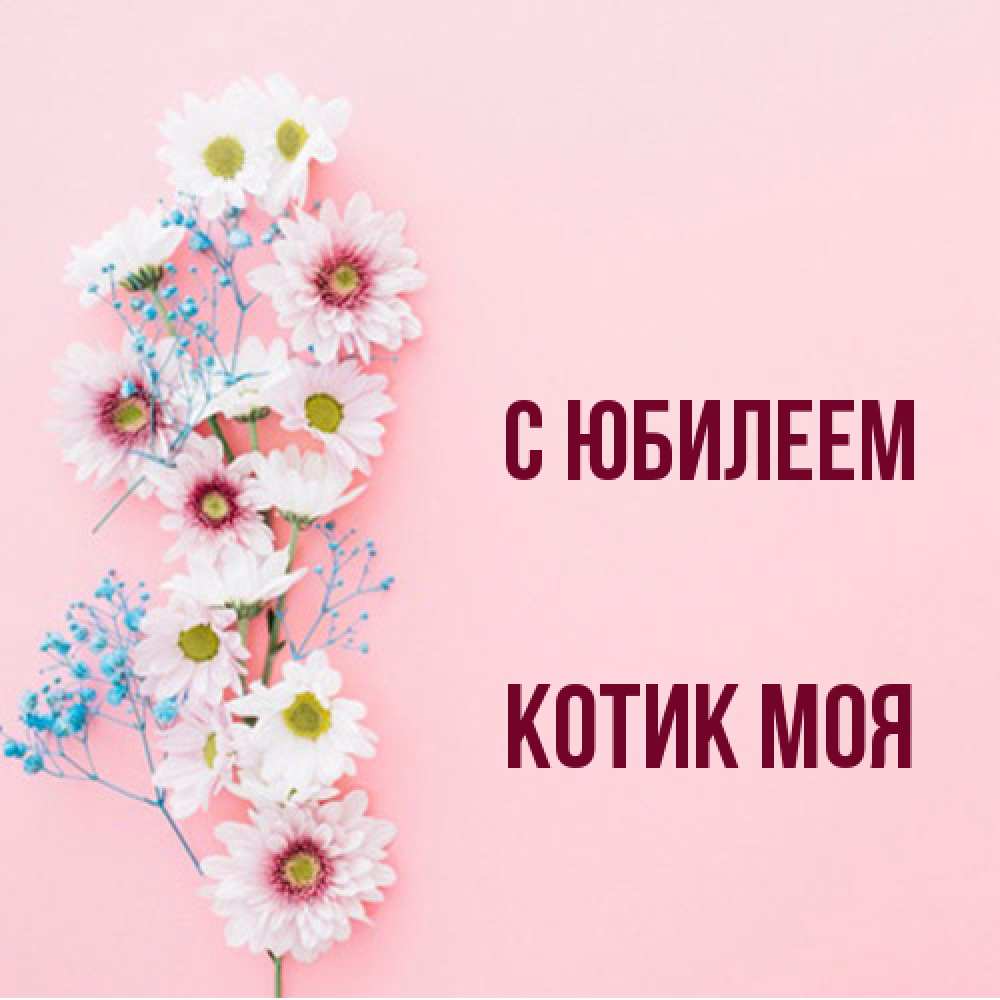 Открытка на каждый день с именем, Котик-моя C юбилеем Родная моя с днем рождения тебя картинка с цветами белыми и голубыми Прикольная открытка с пожеланием онлайн скачать бесплатно 