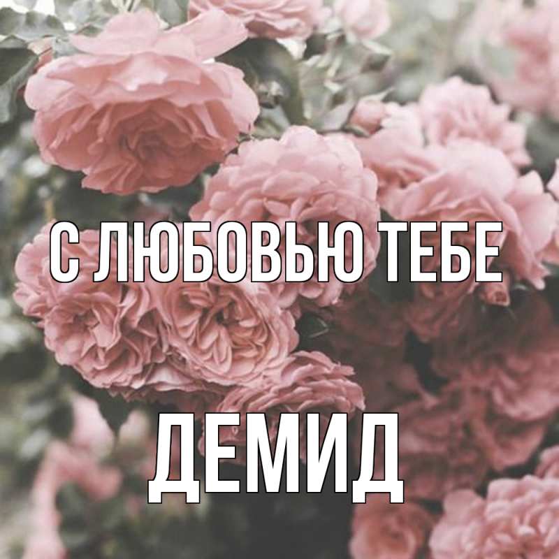 Картинка С любовью тебе, Демид