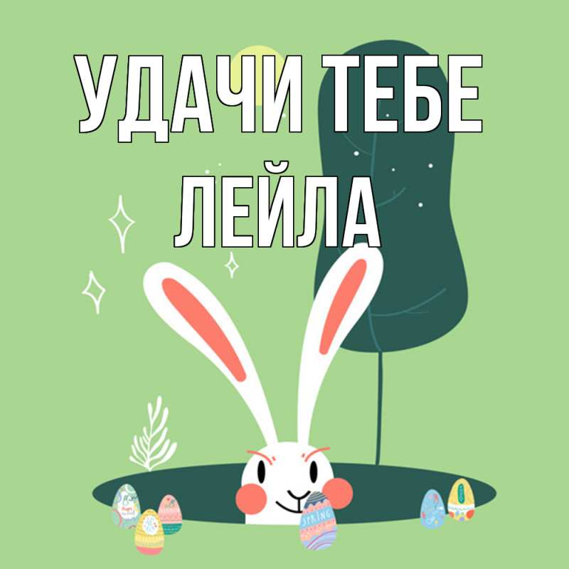 Картинка Удачи тебе, Лейла
