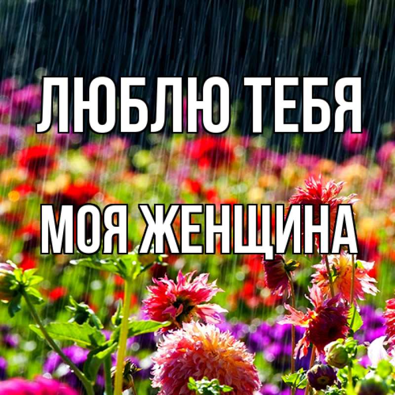 Картинка Люблю тебя, Моя женщина