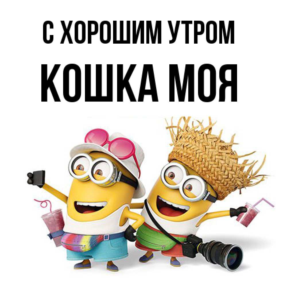 Открытка на каждый день с именем, Кошка-моя С хорошим утром карнавал Прикольная открытка с пожеланием онлайн скачать бесплатно 