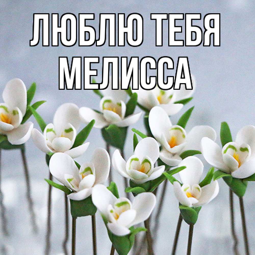 Открытка на каждый день с именем, Мелисса Люблю тебя весенние цветы Прикольная открытка с пожеланием онлайн скачать бесплатно 