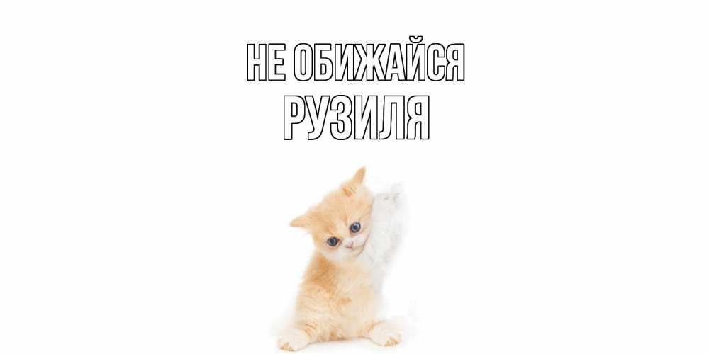 Открытка на каждый день с именем, Рузиля Не обижайся кот Прикольная открытка с пожеланием онлайн скачать бесплатно 