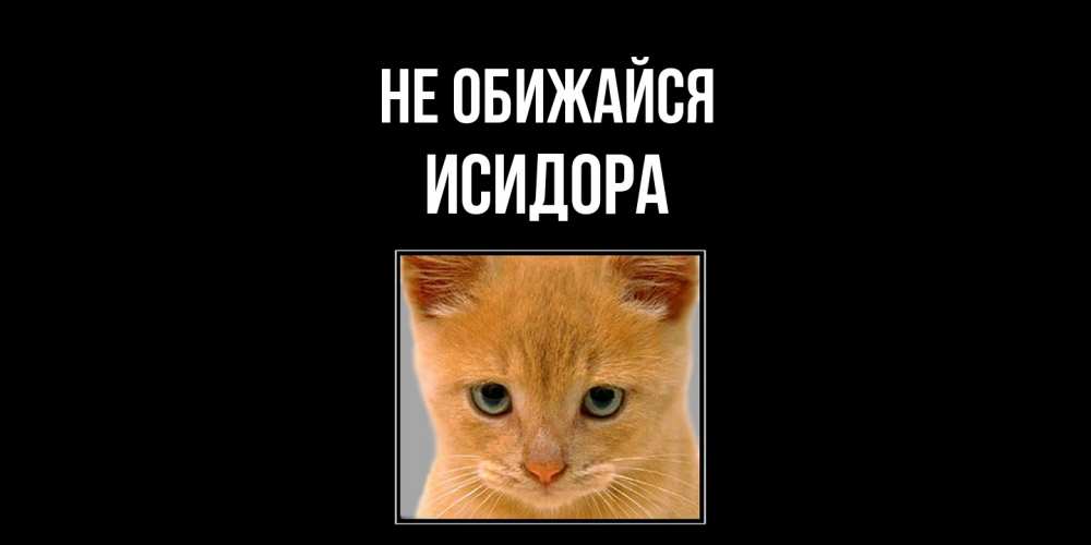 Открытка на каждый день с именем, Исидора Не обижайся рыжий грустный кот просит прощения Прикольная открытка с пожеланием онлайн скачать бесплатно 