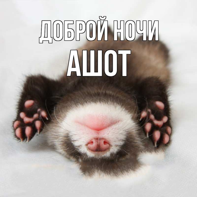 Картинка Доброй ночи, Ашот