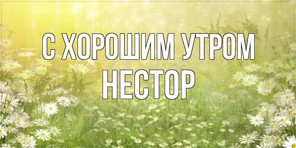 Открытка на каждый день с именем, Нестор С хорошим утром доброе утро Прикольная открытка с пожеланием онлайн скачать бесплатно 