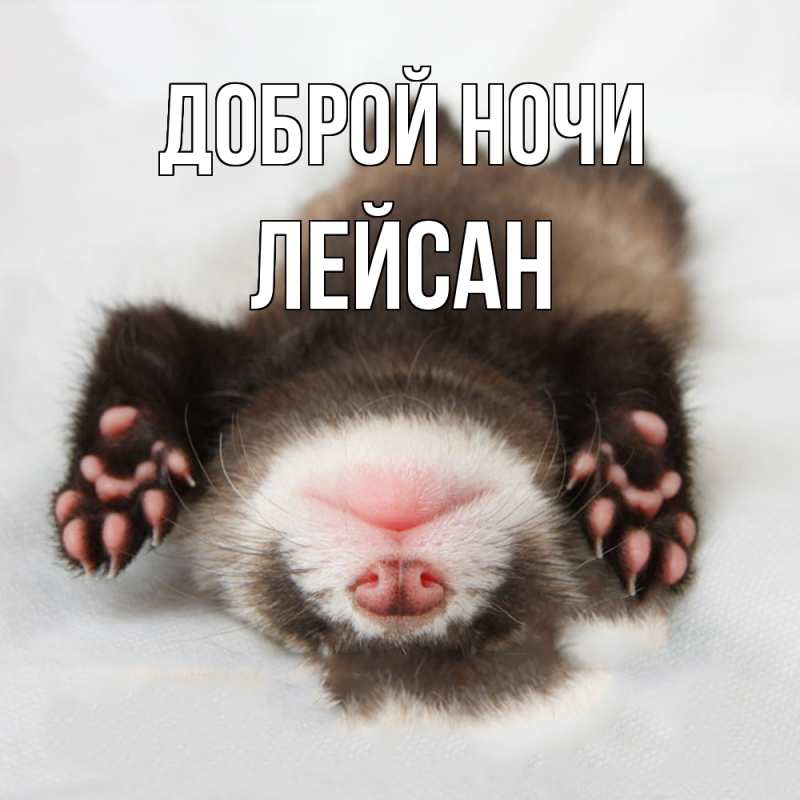 Картинка Доброй ночи, Лейсан