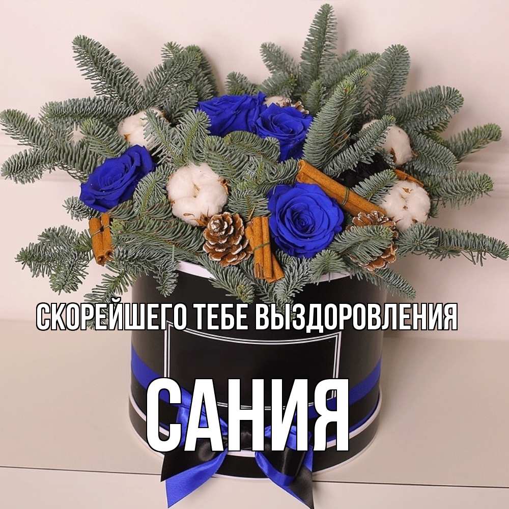 Открытка на каждый день с именем, Сания Скорейшего тебе выздоровления короче кто то загрузил эти шишки Прикольная открытка с пожеланием онлайн скачать бесплатно 