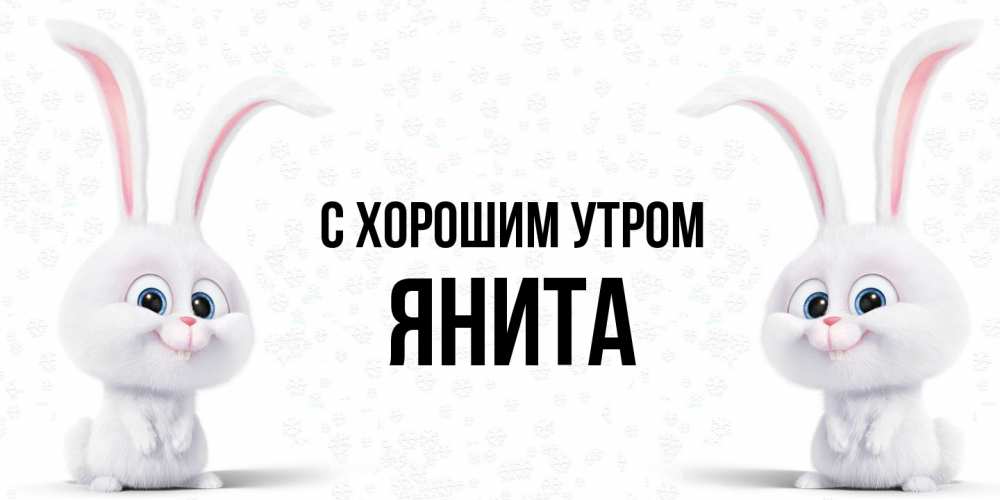 Открытка на каждый день с именем, Янита С хорошим утром кролики с длинными ушками Прикольная открытка с пожеланием онлайн скачать бесплатно 