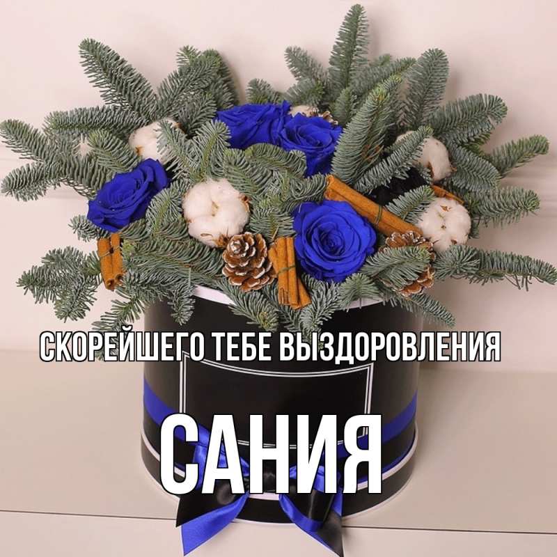 Картинка Скорейшего тебе выздоровления, Сания