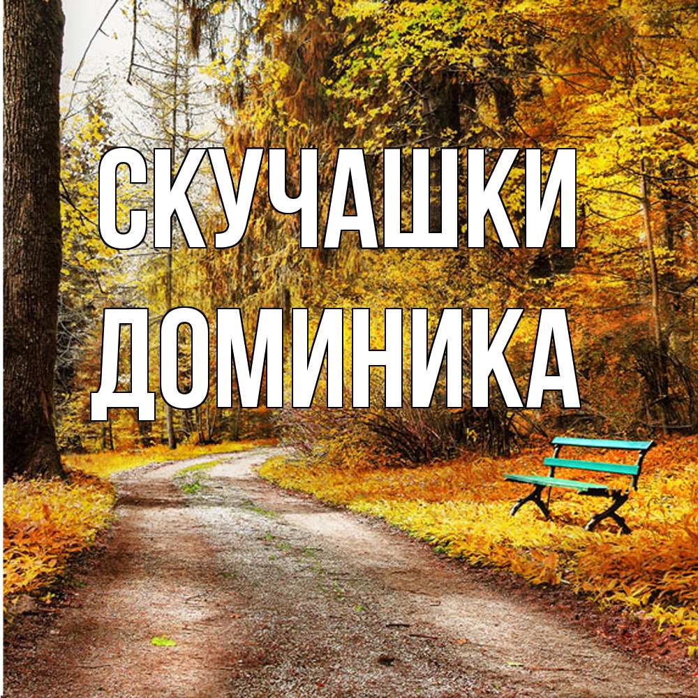Открытка на каждый день с именем, Доминика Скучашки зеленая лавочка и осенний лес Прикольная открытка с пожеланием онлайн скачать бесплатно 