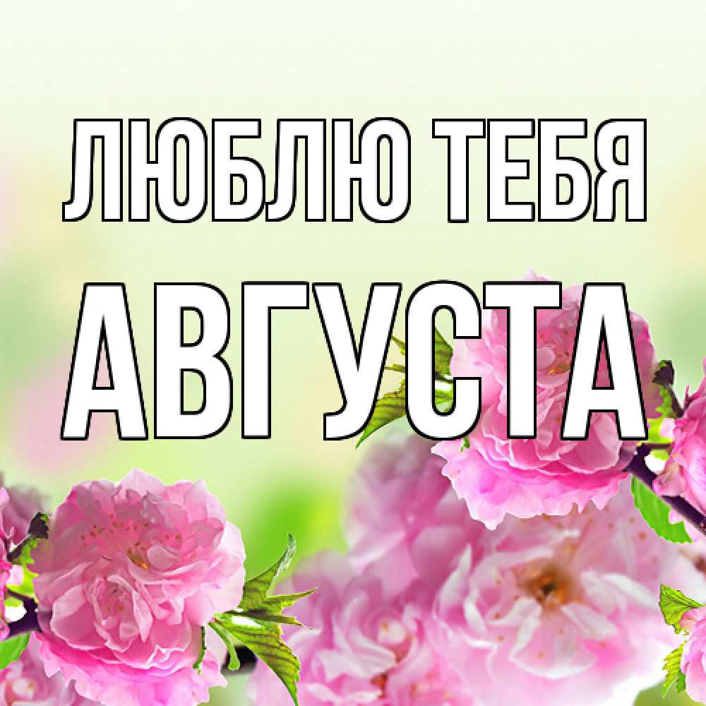 Открытка на каждый день с именем, Августа Люблю тебя цветы Прикольная открытка с пожеланием онлайн скачать бесплатно 