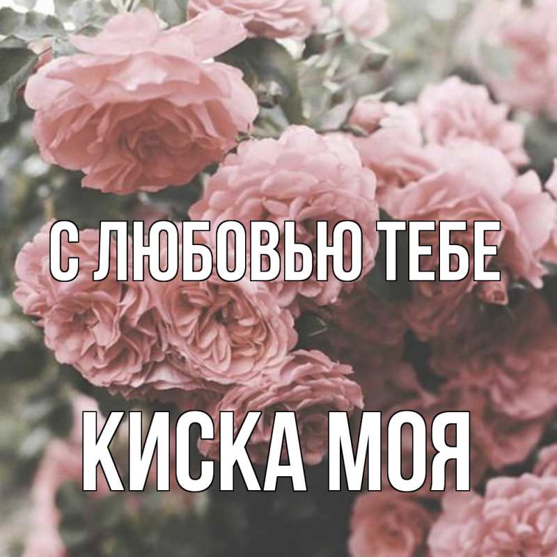 Картинка С любовью тебе, Киска моя