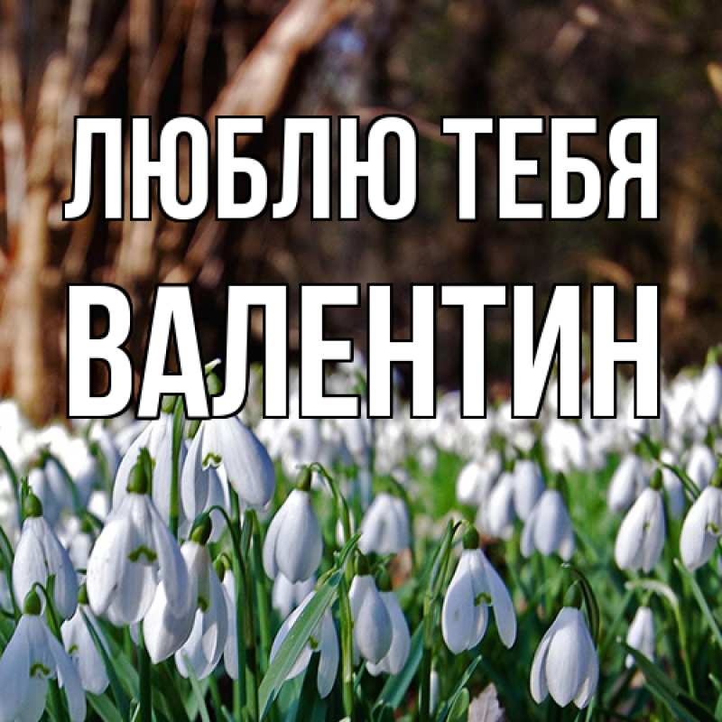 Картинка Люблю тебя, Валентин