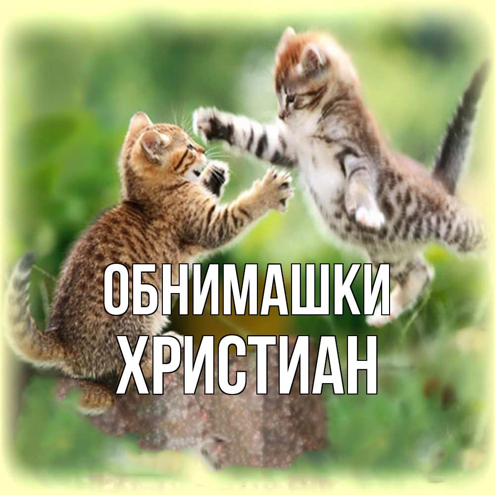 Открытка на каждый день с именем, Христиан Обнимашки игры котят Прикольная открытка с пожеланием онлайн скачать бесплатно 