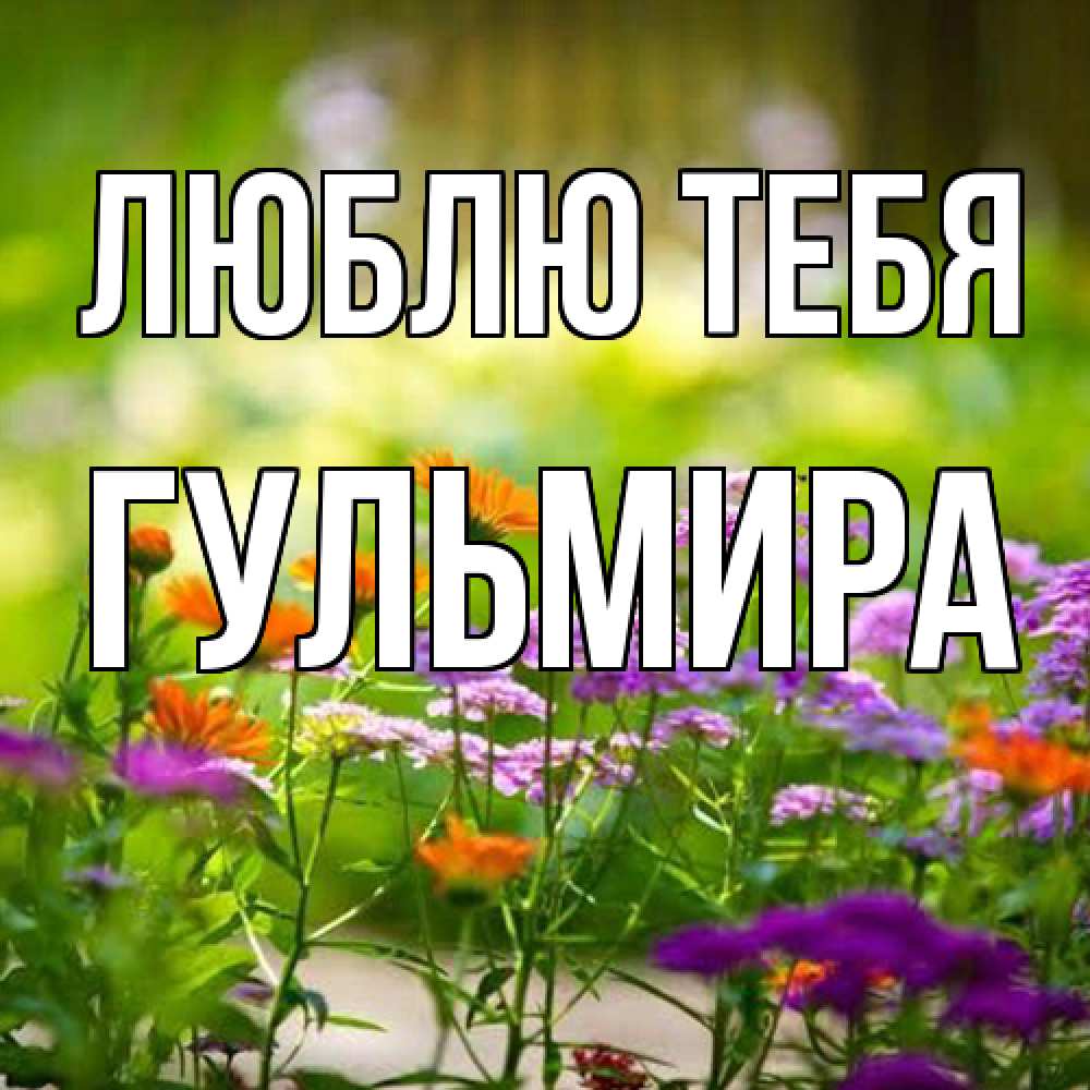 Открытка на каждый день с именем, Гульмира Люблю тебя цветы Прикольная открытка с пожеланием онлайн скачать бесплатно 