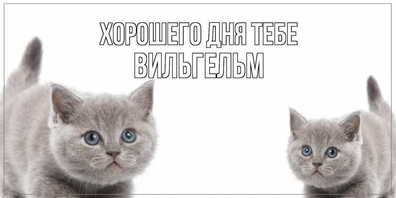Открытка с именем, Вильгельм, Хорошего дня тебе
